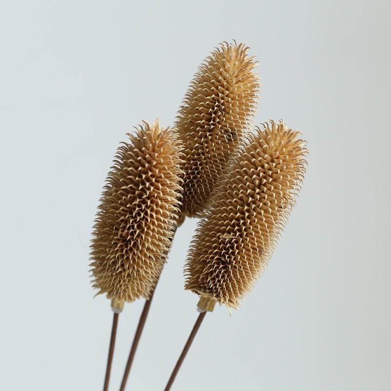 Yunnan Dried & Immortal Flowers Bouquet: Baby's Breath, Roses, Forget-Me-Nots for Home & Homestay Decor