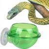 Saugnapf Reptilien Futterspender Futter Napf Schale Tablett für Schlange Schildkröte Gecko Terrarium Reptilien Futterspender Grün 1 Stück