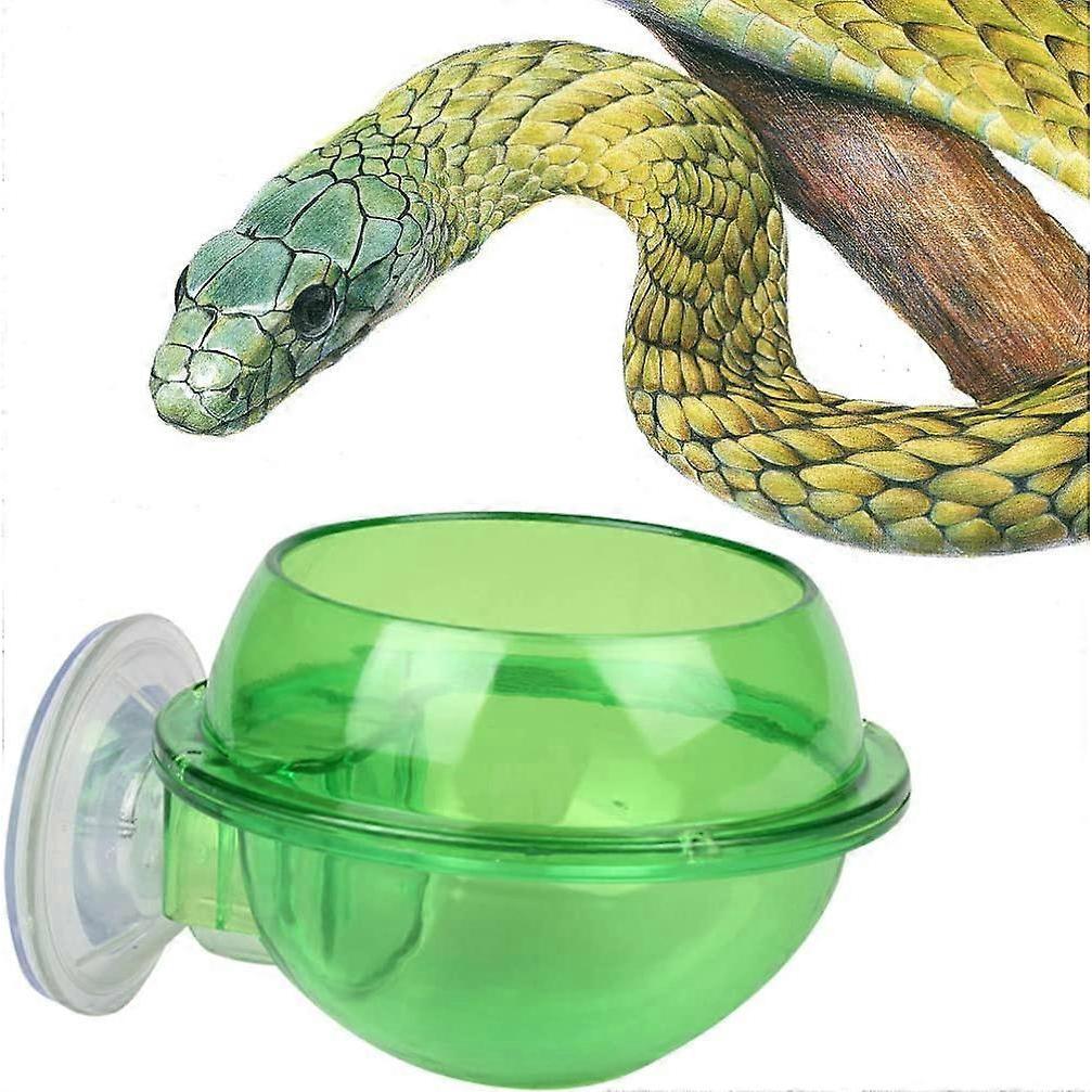 Saugnapf Reptilien Futterspender Futter Napf Schale Tablett für Schlange Schildkröte Gecko Terrarium Reptilien Futterspender Grün 1 Stück