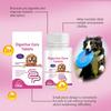 Dog Probiotic Tablets Improve Intestinal Health And Promote Digestion And Absorption Of Pet Nutritional Supplements