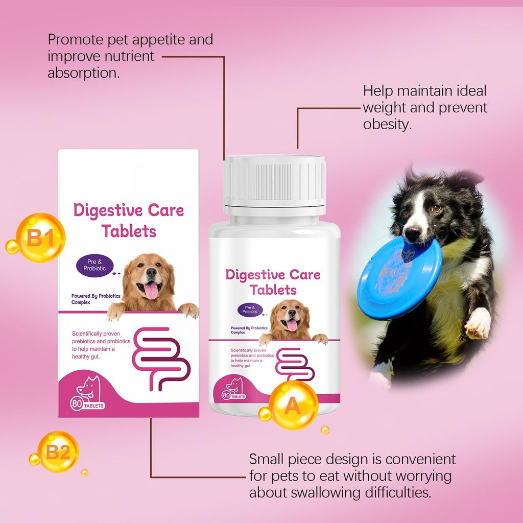 Dog Probiotic Tablets Improve Intestinal Health And Promote Digestion And Absorption Of Pet Nutritional Supplements