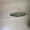 Bronze Leaf Censer