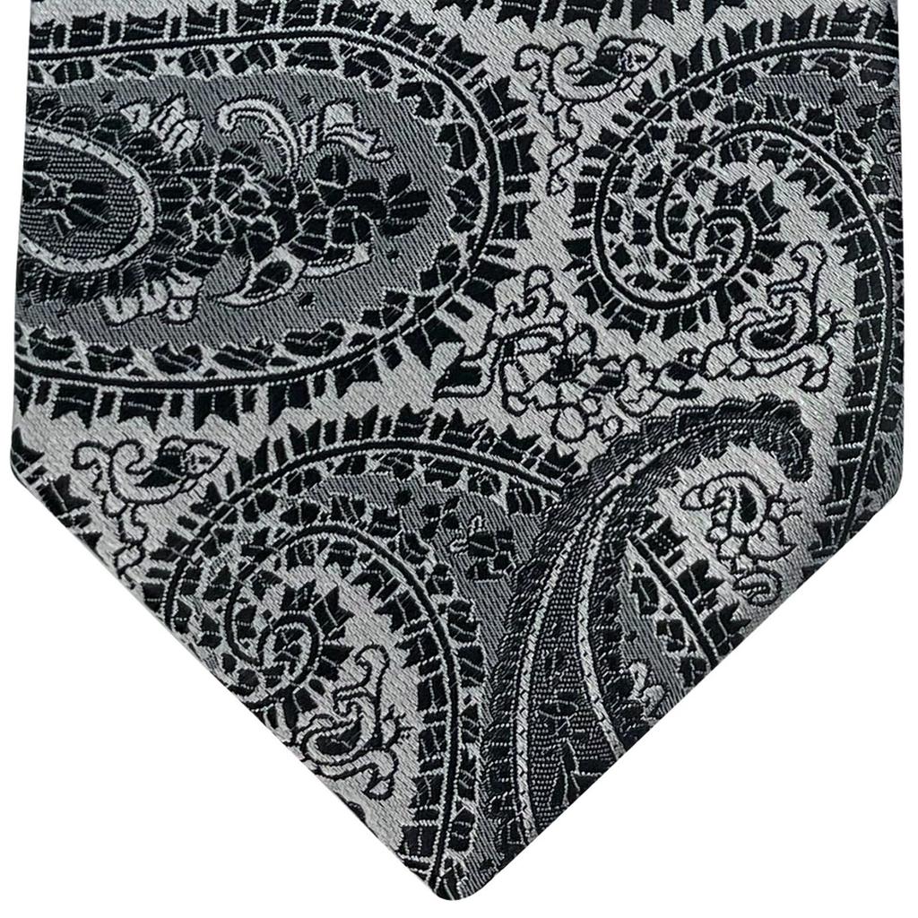(RETREEZ) Paisley Art Pattern Microfiber Woven Fabric Men's Tie - Black & Silver
