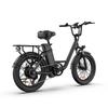 URLIFE-E20 20"x3" Fat Tire Electric Bike 250W Motor 48V 13AH Battery 80-100KM Range Ideal for Commute & Adventure