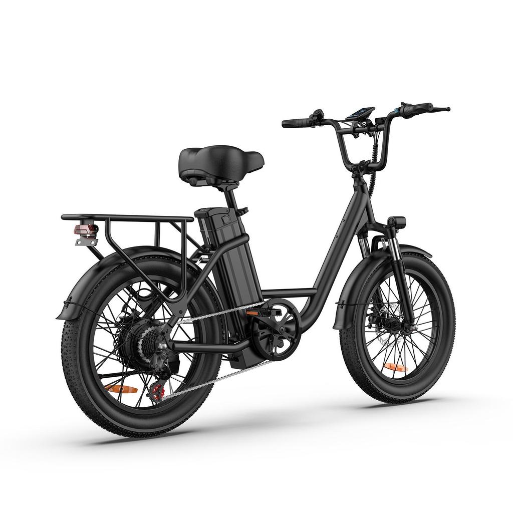 URLIFE-E20 20"x3" Fat Tire Electric Bike 250W Motor 48V 13AH Battery 80-100KM Range Ideal for Commute & Adventure