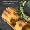 Natural Reptiles Habitats Decors Resin Hideouts Cave For Bearded Dragons Geckos Climbing Shelter Place Easy to Clean