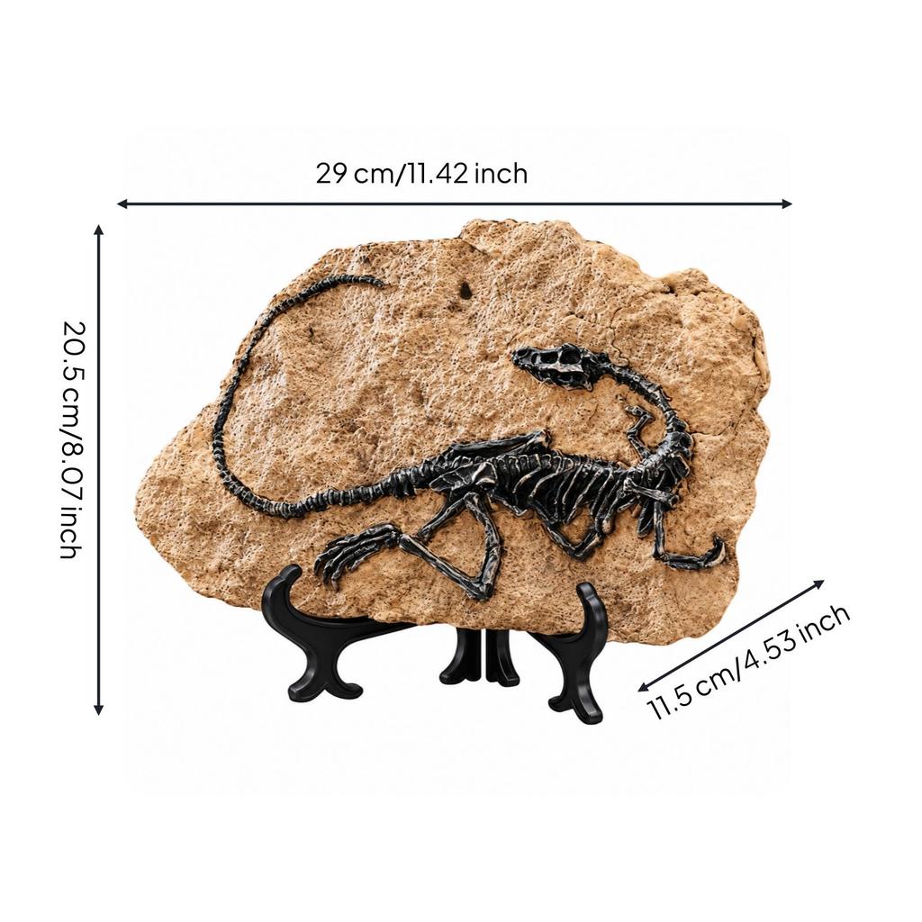 Dinosaur Display Ornament Desktop Resin Skeleton Plaque Textured Style
