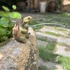 Fishing Turtle Statue Resin Figurine Animal Sculpture Garden Decor Lifelike Design Outdoor Ornament