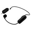 MusicMate MM-700 EchoDual Wireless Microphone System