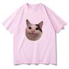 Cat Meme Style Women's Short Sleeved Tshirt with Fun Patternscomfortable and Soft Casual Tshirtfun Daily Wear Tshirt