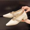 French Fairy Pointed High Heels Summer Temperament All-match Thick Heel Single Shoes Women's Shoes