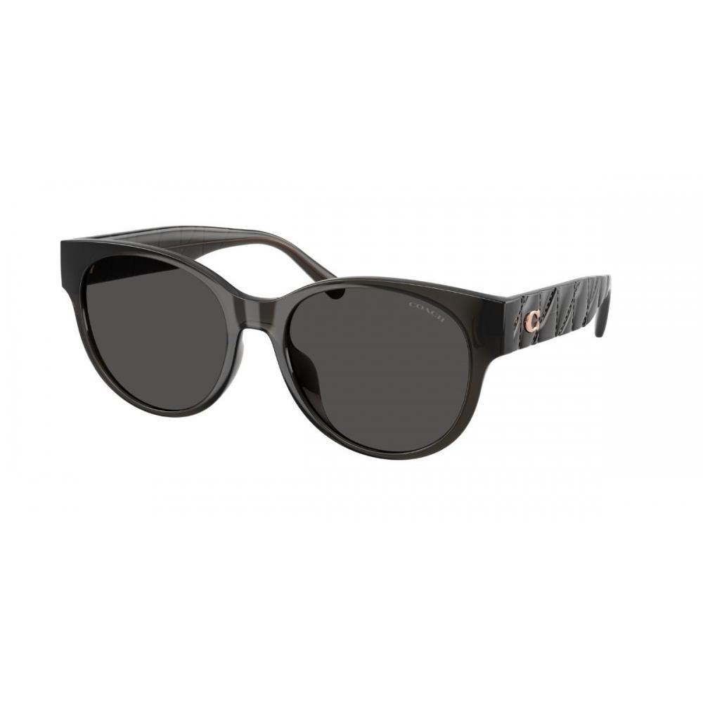 Coach Hc8430d Cae87 589787 Women Sunglasses