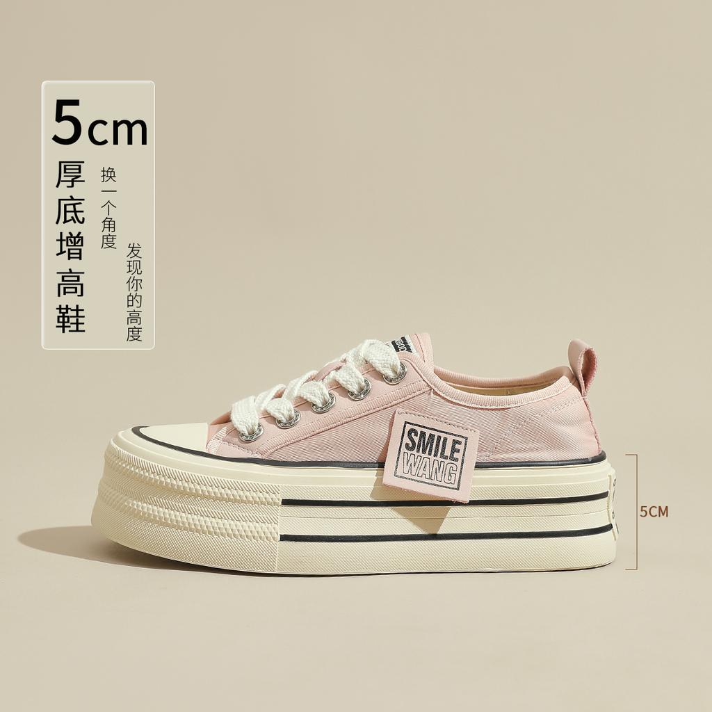 Platform Canvas Shoes New Autumn Retro Soft-soled Muffin Heightening Board Shoes Black Shoes Spring and Autumn