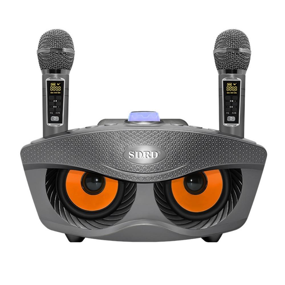 SD306 Dual Microphones Speaker Dual Microphones Karaoke Player Wireless Bluetooth Speaker  Karaoke
