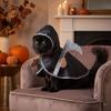 Halloween Costume Cloak for Small Halloween Party Dress Up