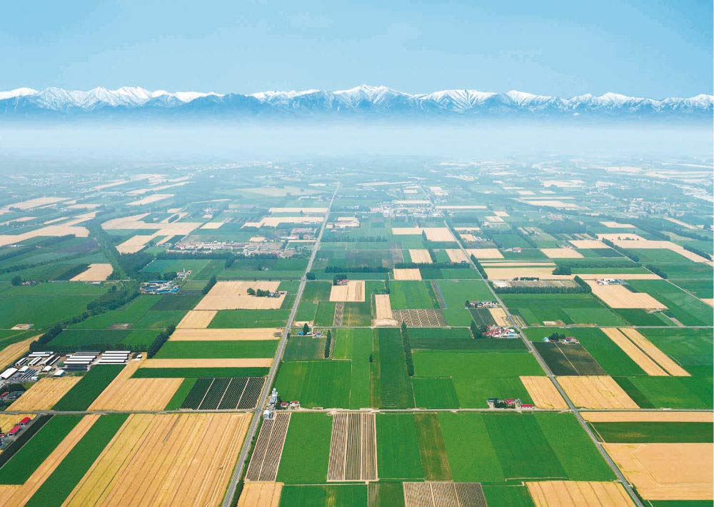 Tokachi Wein Geschenkset Tokachi Rot und 1 Tokachi Weiß x 2 TS-220 (1 Wein) [720ml Flaschen]