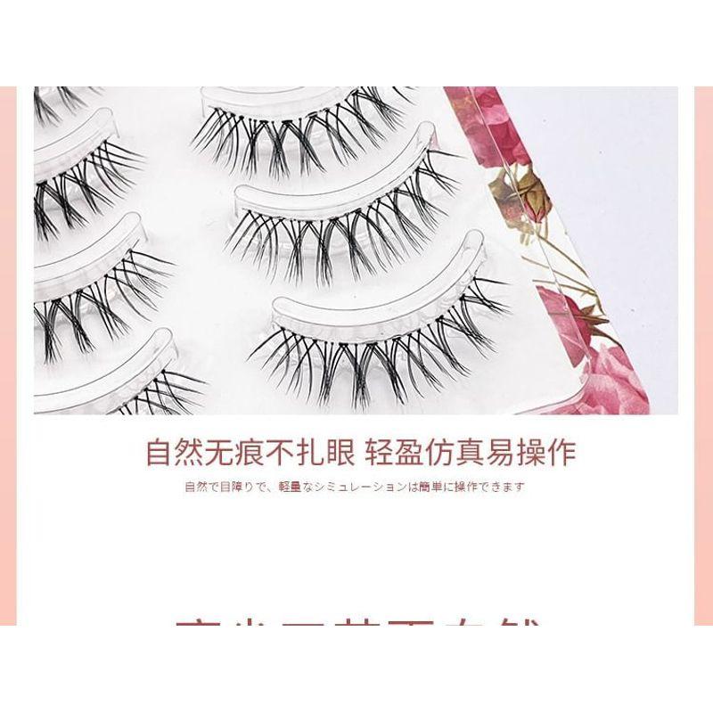 Lashie - Crisscross Multipack False Eyelashes