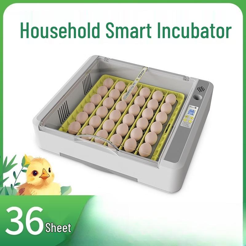 OLOEY Smart Poultry Incubator
