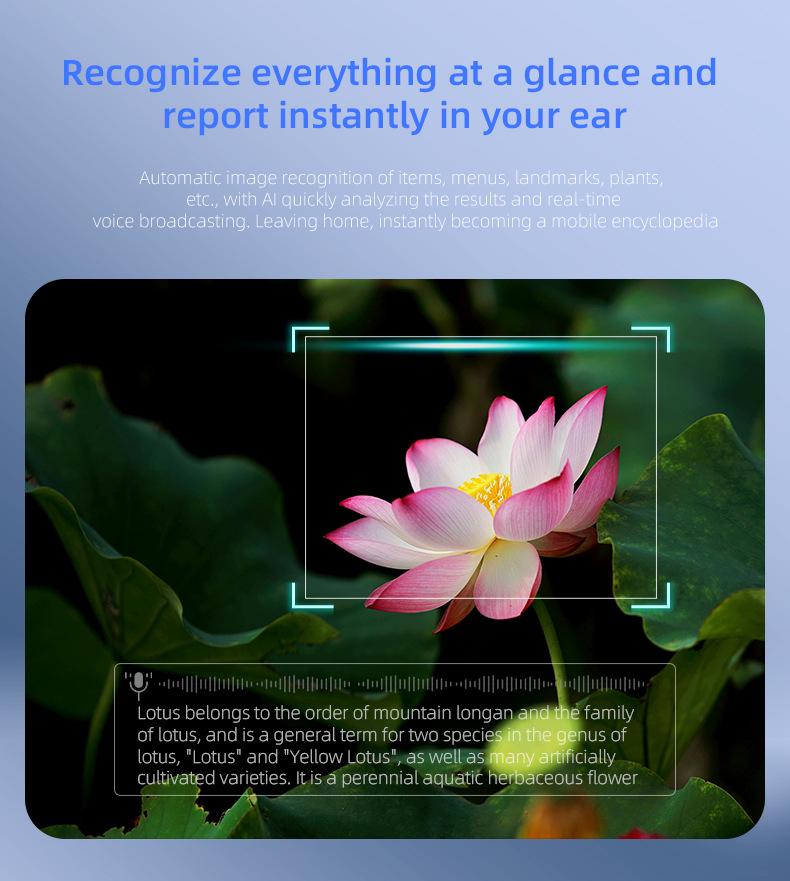 KI-Smart Glasses: Schwarze Tech-Kamera-Brille für Übersetzung, Fotografie und Musik-Streaming