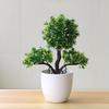 Guest-Greeting Pine Simulated Potted Plant Fake Bonsai Home Office Desk Decor