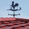 Animal Weather Vane Metal Roof Mount Animal Wind Indicator Easy Installation Weatherproof Weather Vane for Patio Sheds Yard Decor