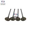 Intake & Exhaust Valves for Changan Pickup Hunter Kaicheng F70 D20T Engine