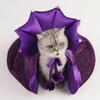 Cloth Halloween Pet Cloak Star Dog Witch Costume Cute Pet Witch Cloak  Halloween Atmosphere