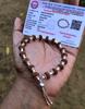 LAB CERTIFIED + 925 Silver + Natural 8 Mukhi RUDRAKSHA Rudraksh Bracelet, Adjustable Indian Origin Lord Shiva Yoga Prayer Meditation