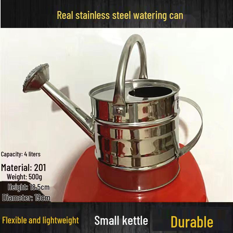Stainless Steel Large Capacity Watering Can with Movable Handle and Sprayer