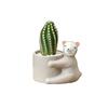 Cartoon Ceramic Planter Pot, Small Succulent Cactus Flowerpot, Cute Green Plant Desktop Decoration for Home