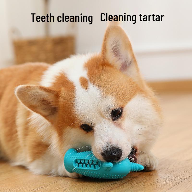 Leksaker för valpar som motstår tuggande – motverkar tristess: Ljudande Leksaker för Husdjur för Tandgnissling - Perfekt för Valpar av Teddy Corgi & Golden Retriever