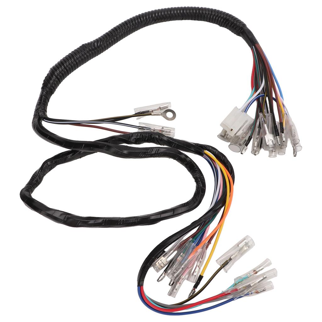 Vehicle Complete Main Electrical Wiring Harness with Connectors Automotive Replacement Parts for