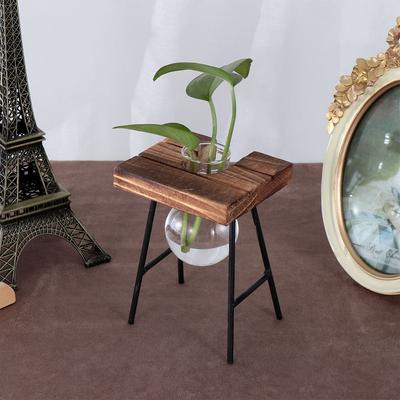 Hidroponik Bitki Vazoları Cam Vazo Vintage Bonsai Saksısı Teraryum Masa Üstü Tepsi Ahşap Çerçeve Ev Dekorasyonu