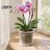 Orchid Repotting Supplies Clear Plastic Pot with Saucer, Plant Compression Resistant Basins Drainage Holes, Ventilated Flower for Rose, Phalaenopsis,