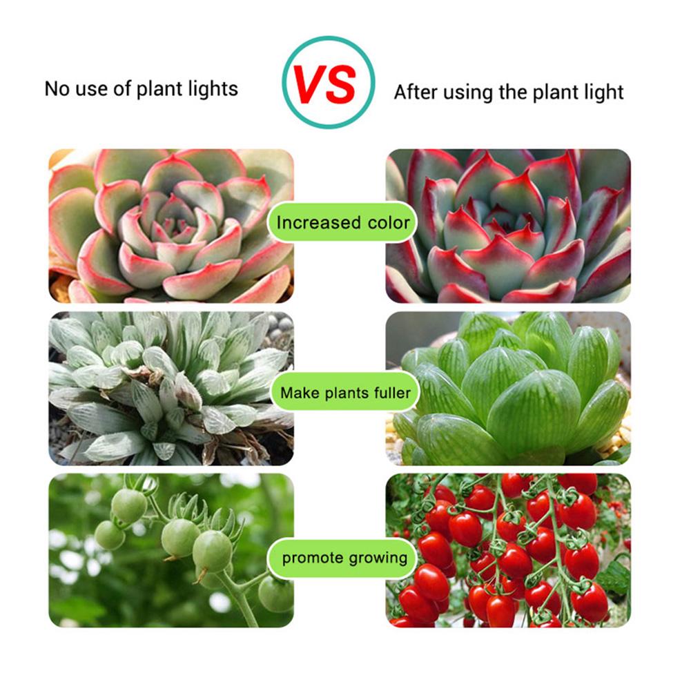 Λωρίδα φωτός 2/3/5m 5V USB Flexible Full Spectrum 2835SMD LED Plant Growth Lamp Light