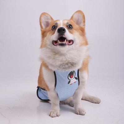 Corgi Hund Bauchtasche wasserdicht mittelgroße und große Hundelatz kleine duftende Windbauch Haustierkleidung