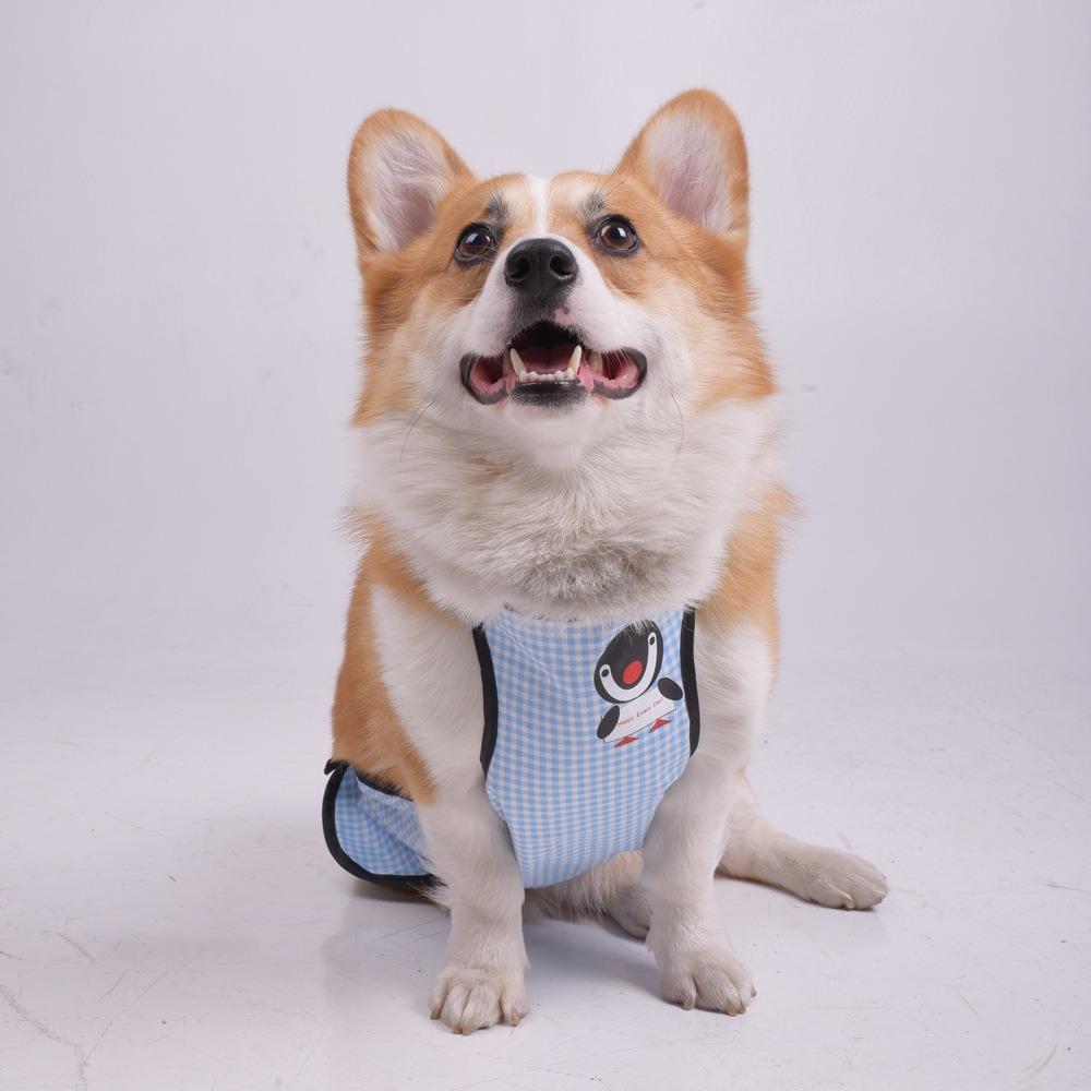Corgi Dog Belly Pocket Waterproof Medium and Large Dog Bib Small Fragrant Wind Belly Pet Clothes
