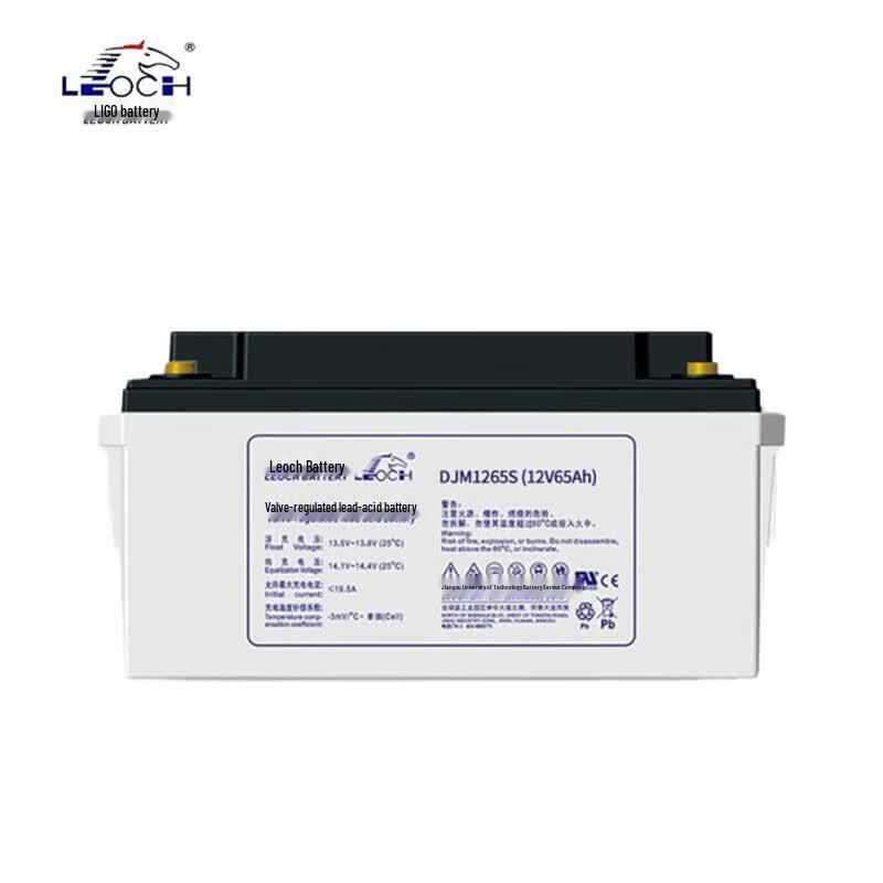 Leoch DJM1265S 12V 65AH Lead-Acid Battery CN plug (adapter included)