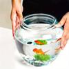 Imitation Glass Acrylic Decorative Tank Goldfish Tank Fall Climb Pet Tank Transparent Plastic Fish Tank Living Room