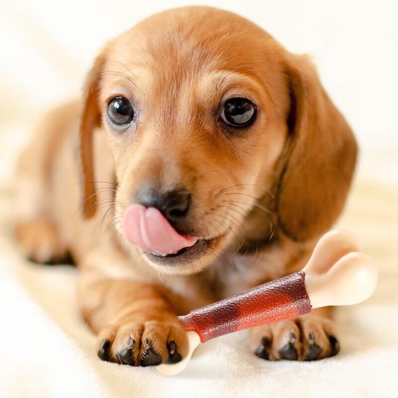 Petlimit Durable Chew Bone Dog Toy