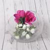 Glass Shrek 8 Height x Diameter Slanted Ball Flower Terrarium Container Vase, Design, Pieces, 11.2cm 15cm, Cut, Shape, Vase,