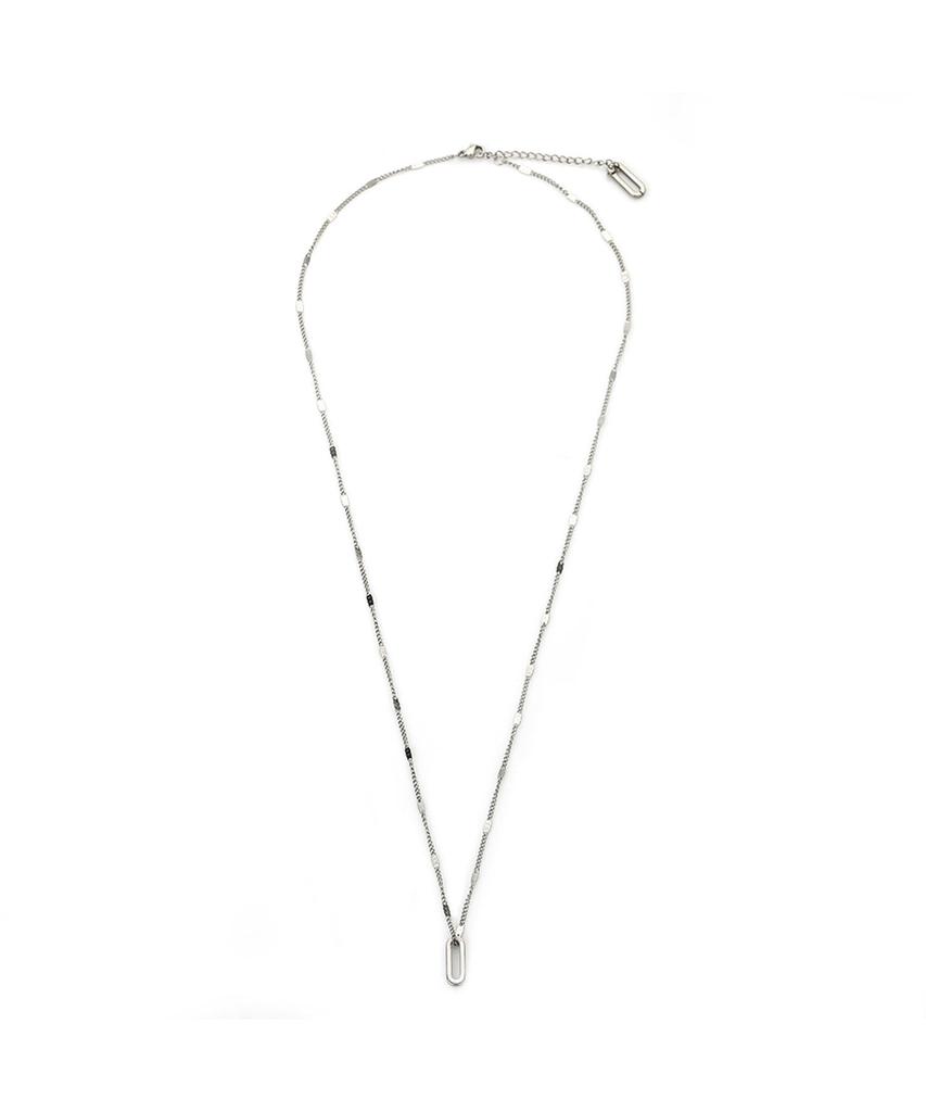Charmy Surgical Steel Long Drop Necklace
