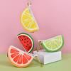 Designer Fruit Style Pet Poop Bag Dispenser and Storage Pouch