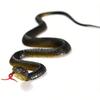 45cm Realistic Rubber Snake Toy, Fake Python, Scary Halloween Prop, Prank Toy Accessory
