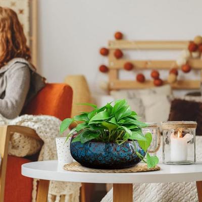 Lotus Bowl Planter Large Opening Ceramic Lotus Flowerpot Glazed Goldfish Bowl Bonsai Bowl Lotus Pot for Hydroponics Plants Daffodil