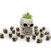 Synthetic Resin Skull Ornaments Halloweens Tabletop Decoration Set with Skeleton Figures