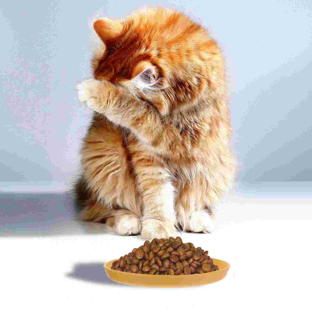 Katteskål Grunnt kattematfat Kattmatingsskåler Bred dyremattallerken Kattmating Drikkefat Stor kapasitet for kattunger