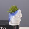 Gardening Succulent Flower Pot Ceramic, Creative Indoor Tabletop Cartoon Dolphin Animal Flower Pot