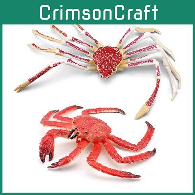 Modèle réaliste de crabe pour enfants, représentant un majestueux crabe royal et un crabe-araignée.