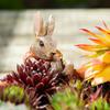 Cute Resin Rabbit Flower Pot Hanger Ornaments Climbing Bunny Figurine Animals Statue for Garden Yard Home Decor